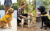Pet Collection: Safety and comfort vests