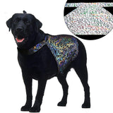 Reflective Pet Safety Vest image 2