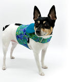 DCNY “Paisley Paws" Harness Vest image 2