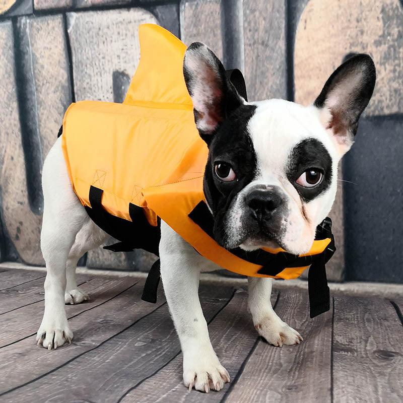 Shark Fin Dog Life Vest-2