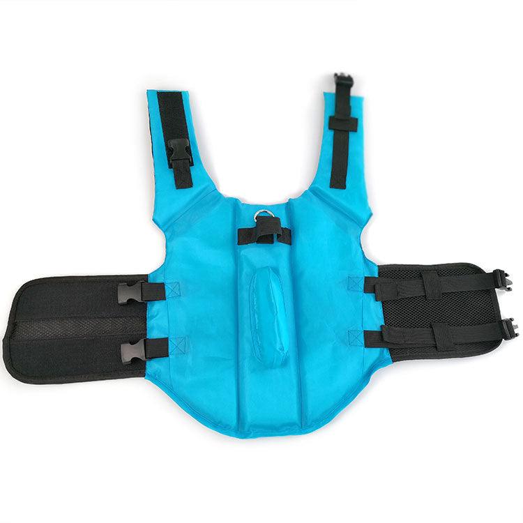 Petfin Swimwear: Stylish And Sporty Life Jacket For Dogs-5