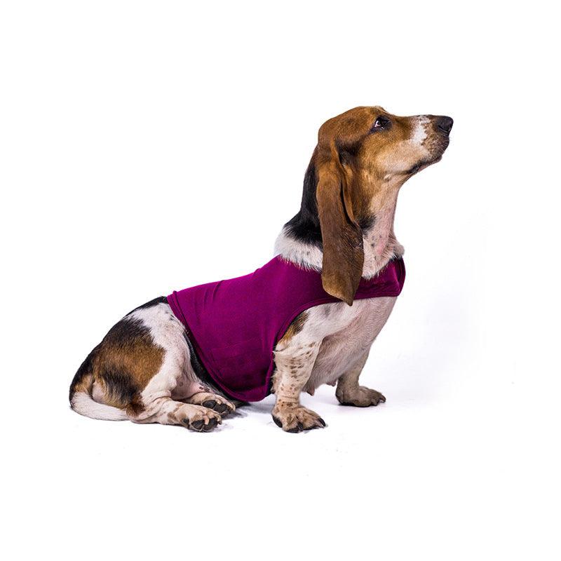 Serenity Pet Vest: Calming Comfort For Cats And Dogs image 13
