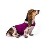 Serenity Pet Vest: Calming Comfort For Cats And Dogs image 8