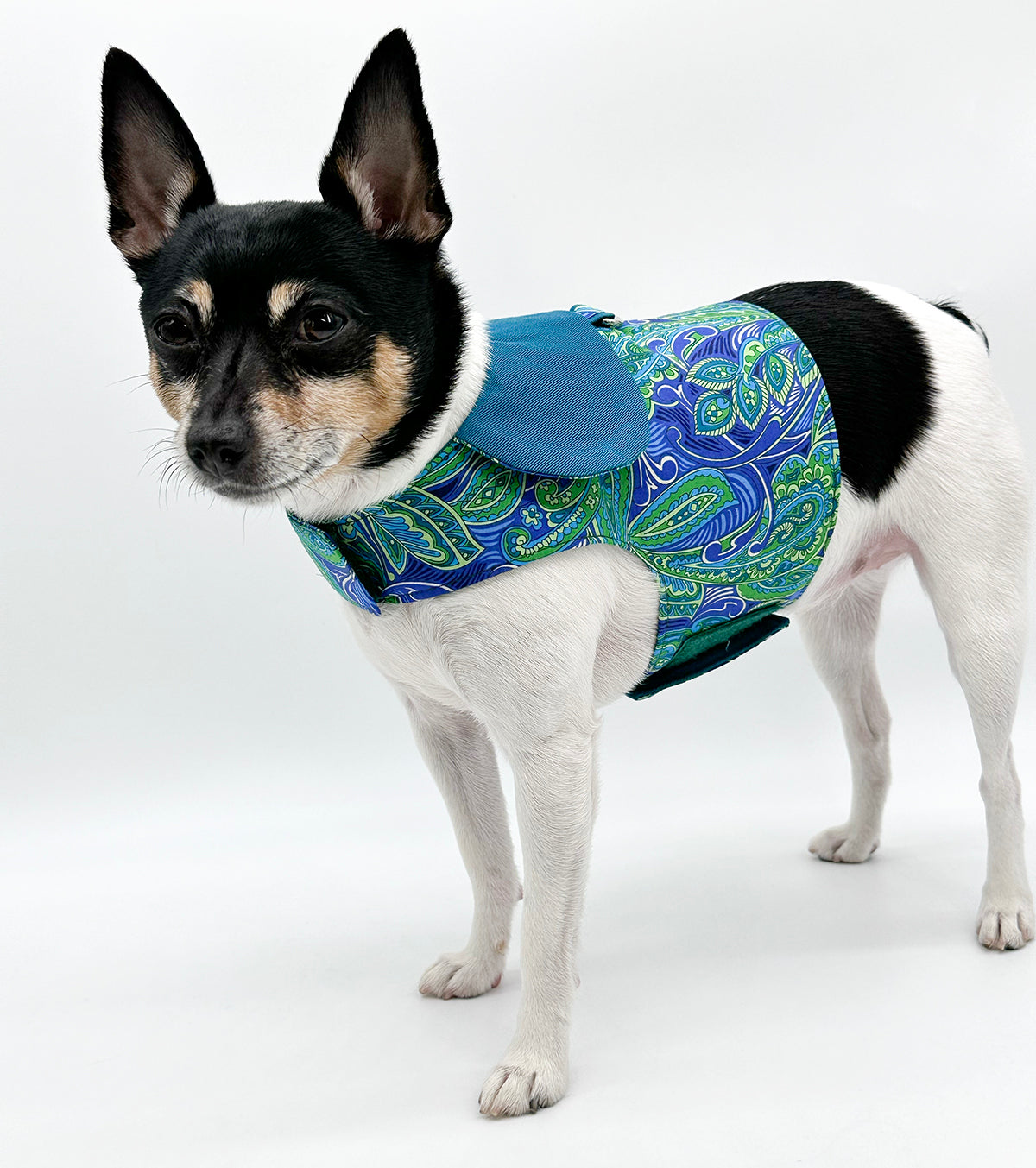 DCNY “Paisley Paws" Harness Vest image 1