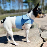 DCNY Periwinkle Harness Vest image 1