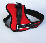 Reflective Chest Back Dog Harness Vest-3