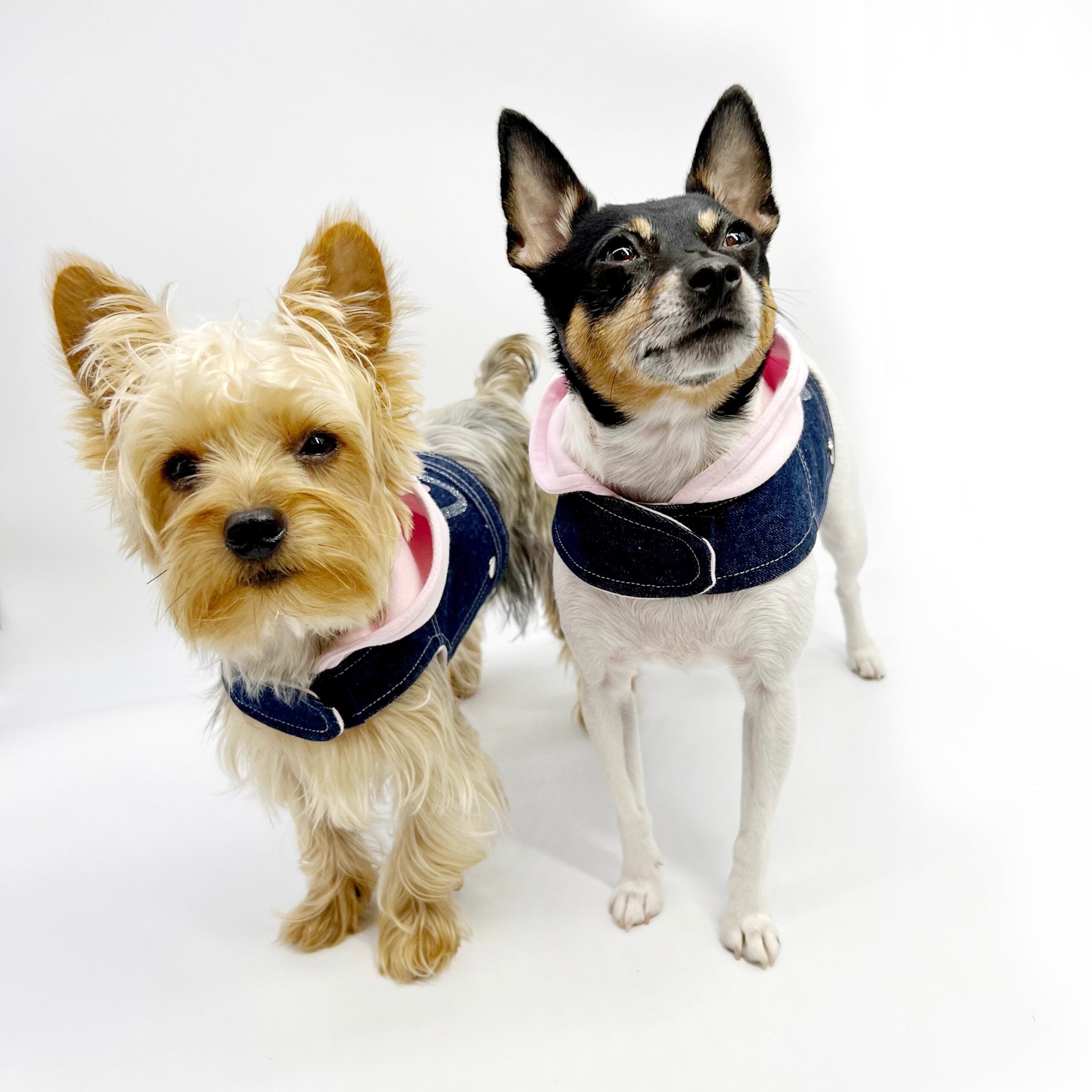 Denim Hoodie "Love" Harness Vest – Pink image 2