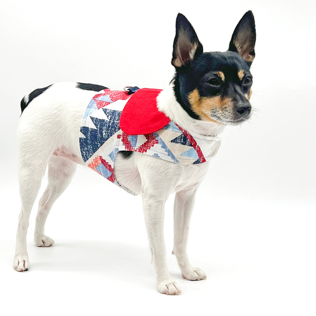 DCNY “Americana” Vest-Style Harness image 1