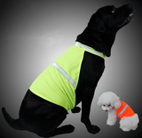 Fluorescent Safety Dog Vest image 0