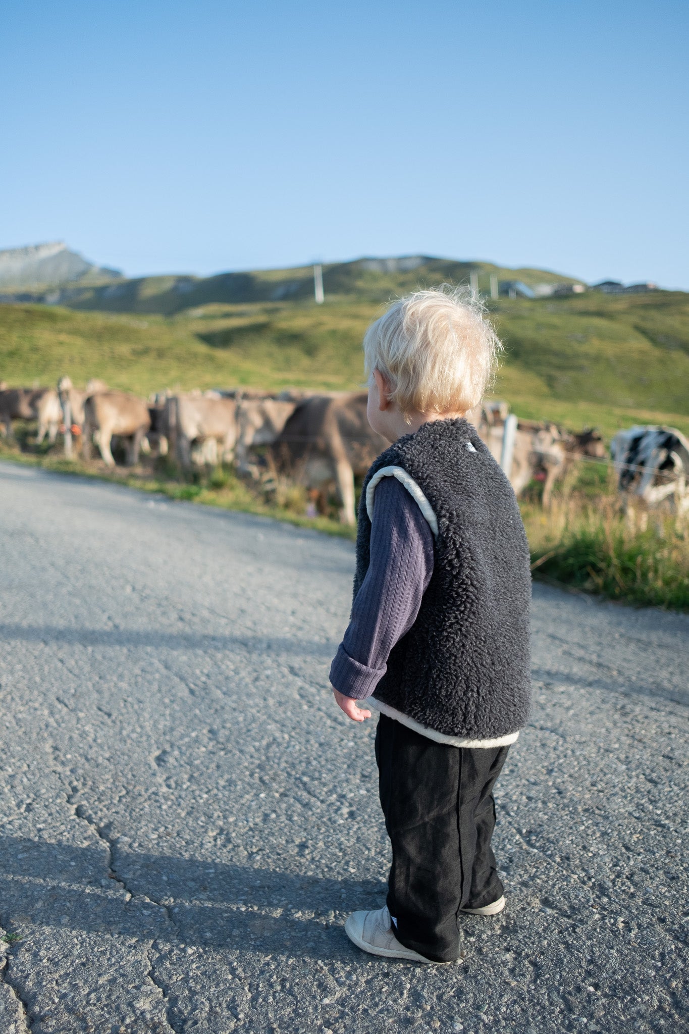 Baby/Kid Virgin Wool Vest - Charcoal image 0