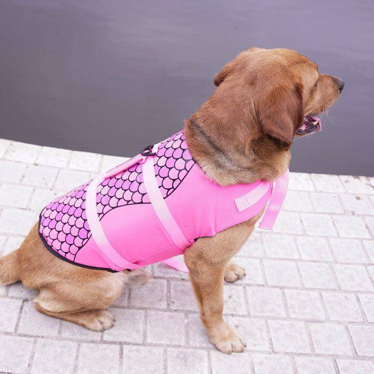 The Splashguard Pet Life Vest image 8