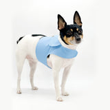 DCNY Periwinkle Harness Vest image 0