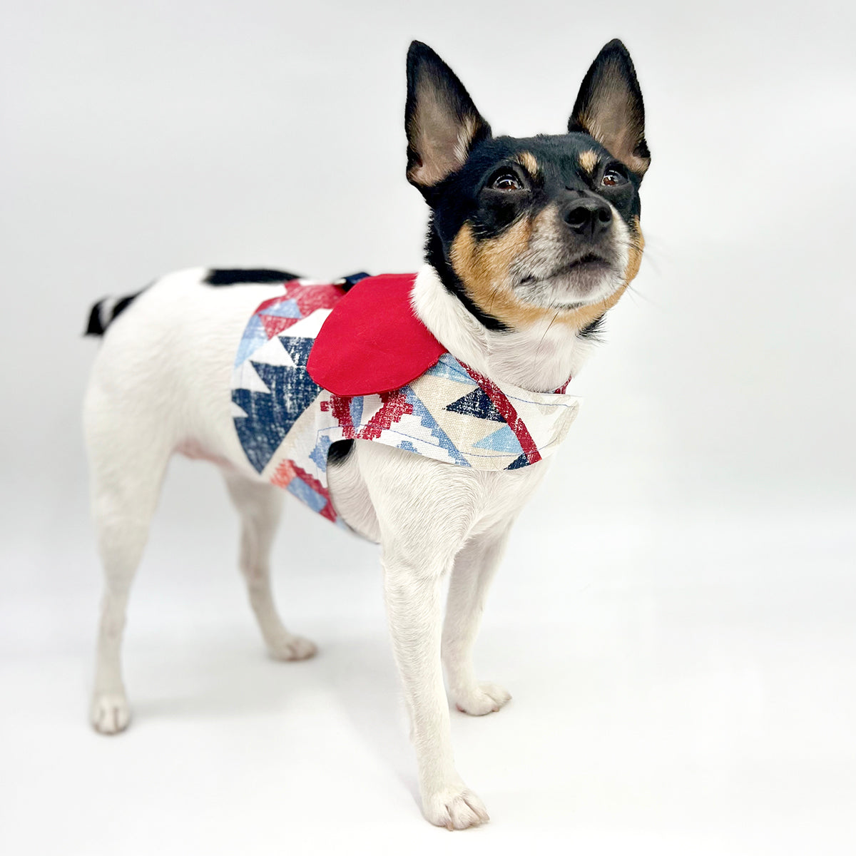 DCNY “Americana” Vest-Style Harness image 0