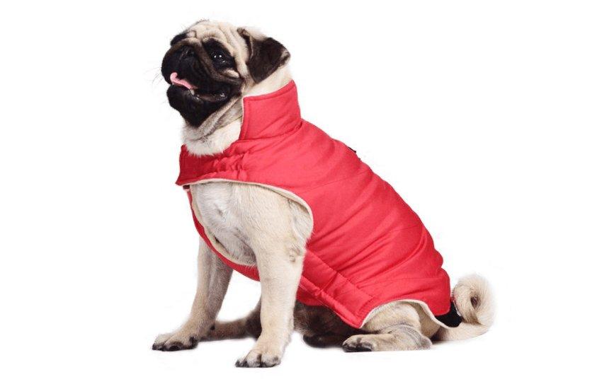 Cozy Cotton Dog Coat Vest - Stylish European And American Style For All Genders-3