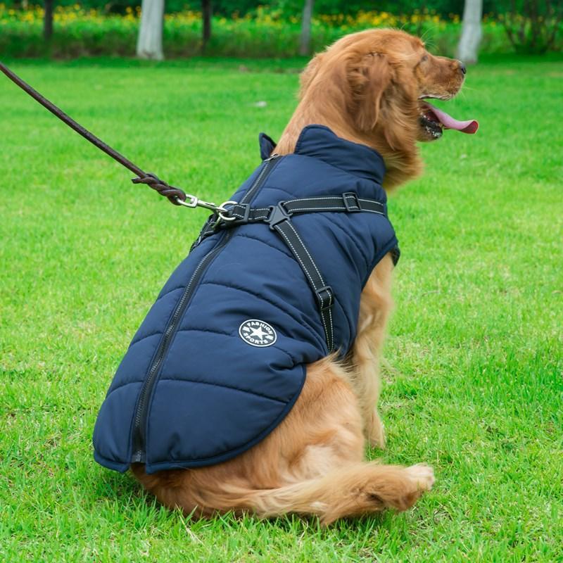 Cozycanine Integrated Cotton Vest - Stylish Winter Apparel For Dogs-2