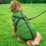Cozycanine Integrated Cotton Vest - Stylish Winter Apparel For Dogs-10