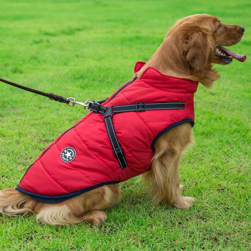 Cozycanine Integrated Cotton Vest - Stylish Winter Apparel For Dogs-0