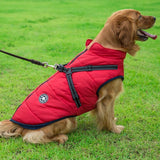 Cozycanine Integrated Cotton Vest - Stylish Winter Apparel For Dogs-0