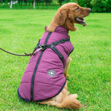 Cozycanine Integrated Cotton Vest - Stylish Winter Apparel For Dogs-6