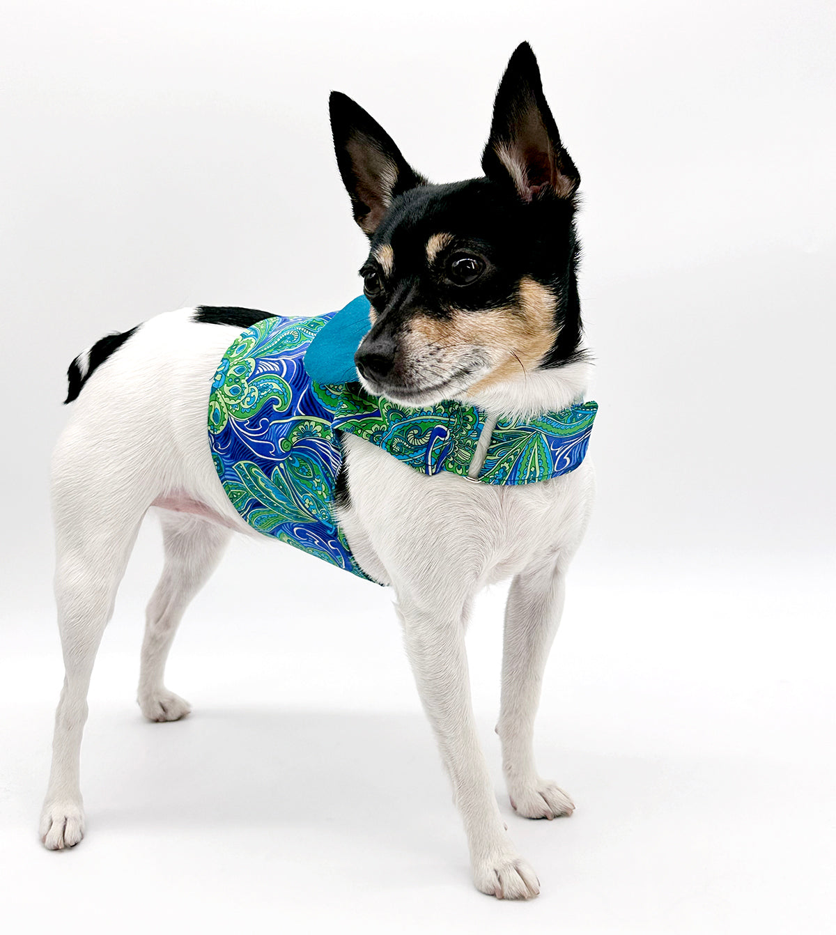 DCNY “Paisley Paws" Harness Vest image 0