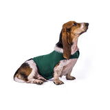 Serenity Pet Vest: Calming Comfort For Cats And Dogs - Lake Green, Xs image