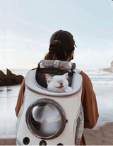 Cats and Dogs Backpack image 0
